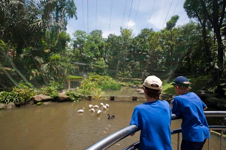 Dois adolescentes no Bird Ark de Kuala Lumpur Dois adolescentes no Bird Ark de Kuala Lumpur